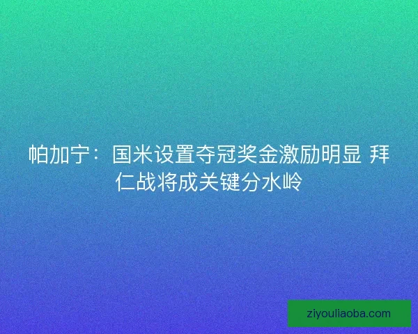 帕加宁：国米设置夺冠奖金激励明显 拜仁战将成关键分水岭