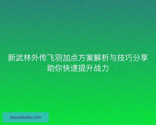 新武林外传飞羽加点方案解析与技巧分享助你快速提升战力