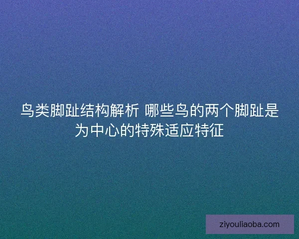鸟类脚趾结构解析 哪些鸟的两个脚趾是为中心的特殊适应特征