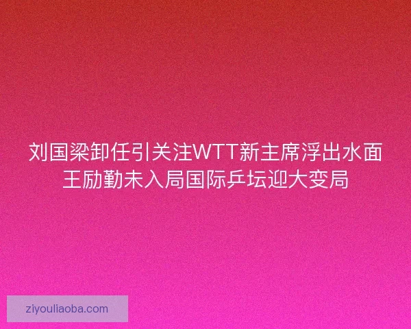 刘国梁卸任引关注WTT新主席浮出水面王励勤未入局国际乒坛迎大变局