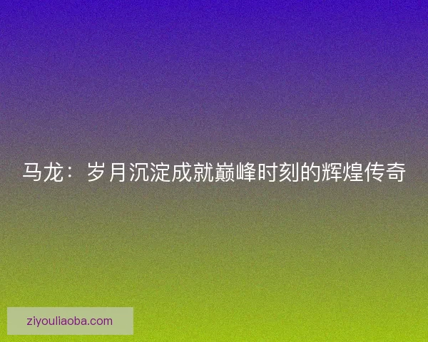 马龙：岁月沉淀成就巅峰时刻的辉煌传奇