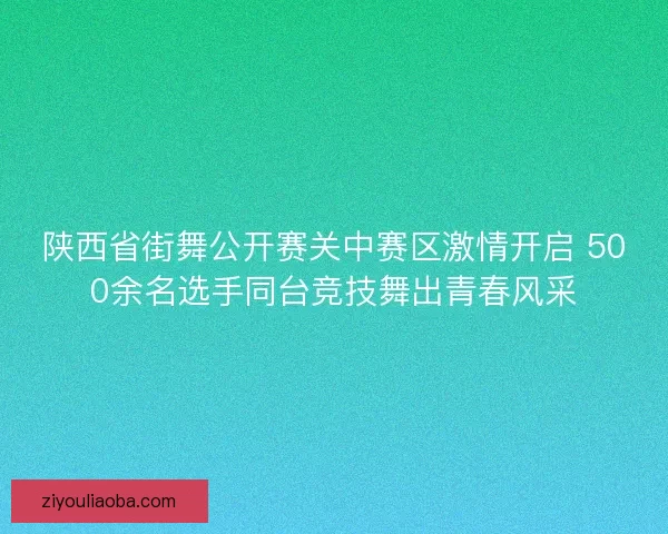 陕西省街舞公开赛关中赛区激情开启 500余名选手同台竞技舞出青春风采 陕西省街舞公开赛关中赛区激情开启 500余名选手同台竞技舞出青春风采